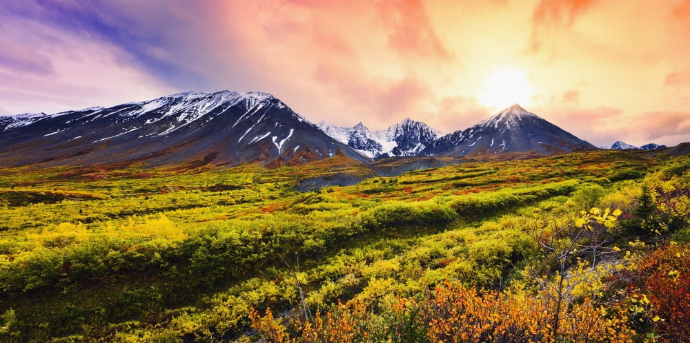 Fall Colours And Auriol Range At Sunset Kluane National Park Yukon Canvas Art - Yves Marcoux Design Pics (40 x 20)
