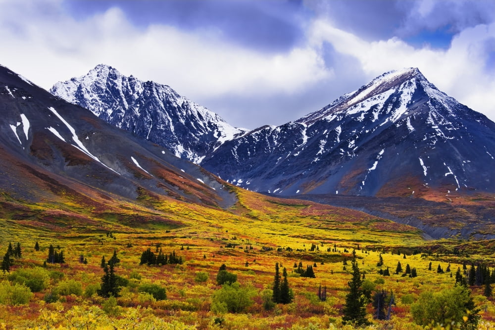 Fall Colours And Auriol Range Kluane National Park Yukon Canvas Art - Yves Marcoux Design Pics (17 x 11)