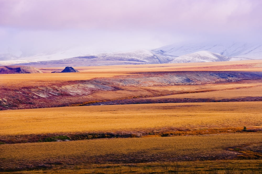 Fall Colours And Richardson Mountains Dempster Highway Yukon Canvas Art - Yves Marcoux Design Pics (17 x 11)
