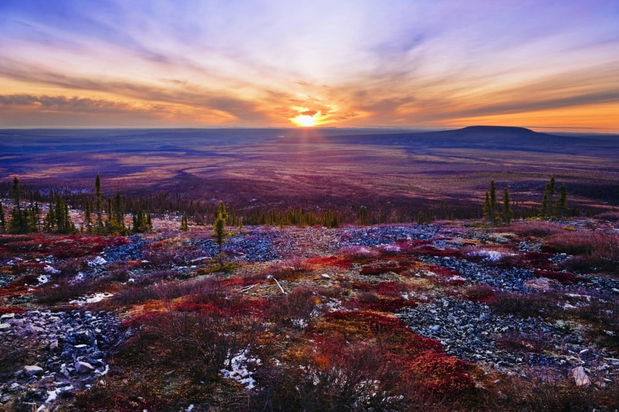 Fall Colours And Sunset Along Dempster Highway Yukon Canvas Art - Yves Marcoux Design Pics (17 x 11)