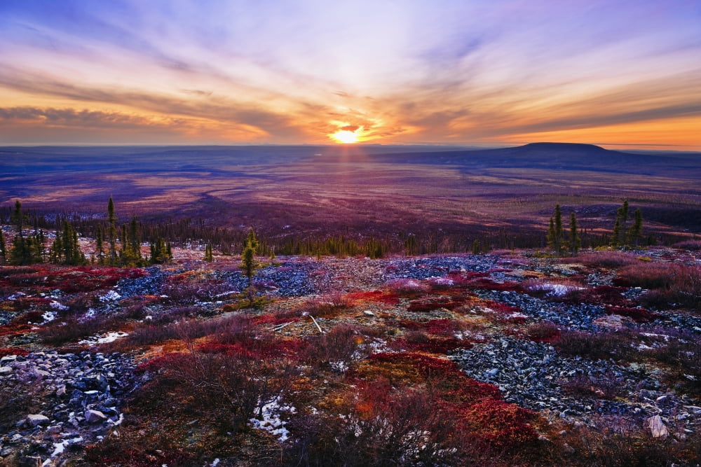 Fall Colours And Sunset Along Dempster Highway Yukon Canvas Art - Yves Marcoux Design Pics (34 x 22)