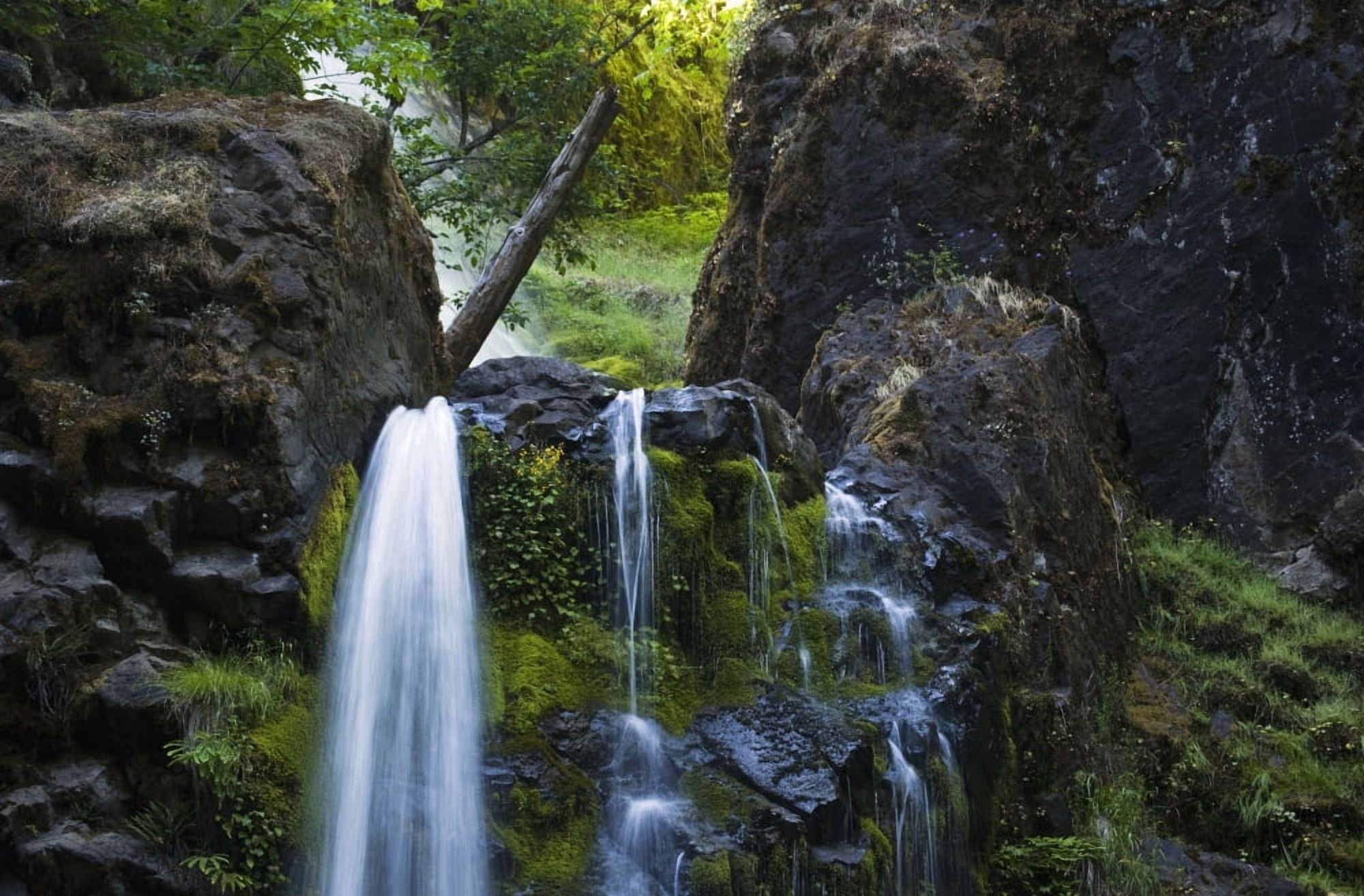 Fall Creek Falls near Jobs Garden Glide Oregon United States of America Canvas Art - Robert L Potts Design Pics (19 x 12)