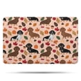 thumbnail image 1 of Fall Dachshund and Pumpkin Bathroom Rugs Mat,Non Slip Microfiber Bathroom Rug,Rubber Backing,Soft Bathroom Mats for Bathroom Floor,Tub and Shower,20x32in(50x80cm), 1 of 5