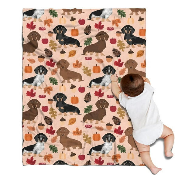 Fall Dachshund and Pumpkin Blanket,Comfortable Soft Flannel Throw Blanket,All Season,Warm Lightweight Blankets for Sofa Bed Couch Living Room Chair,30"x40"