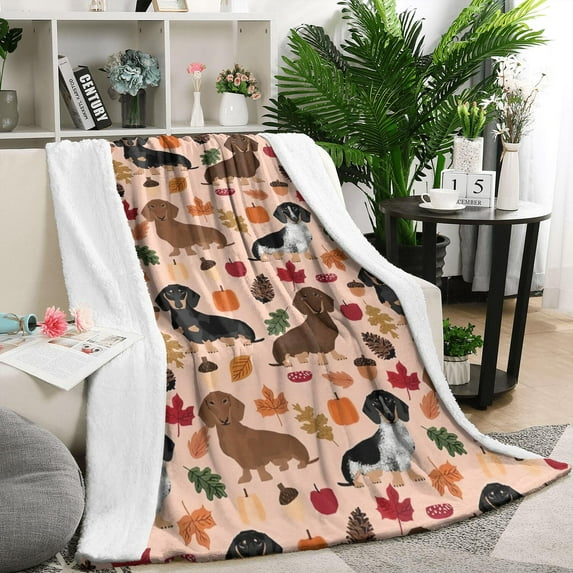 Fall Dachshund and Pumpkin Blanket,Comfortable Soft Flannel Throw Blanket,All Season,Warm Lightweight Blankets for Sofa Bed Couch Living Room Chair,50"x60"(130x150cm)