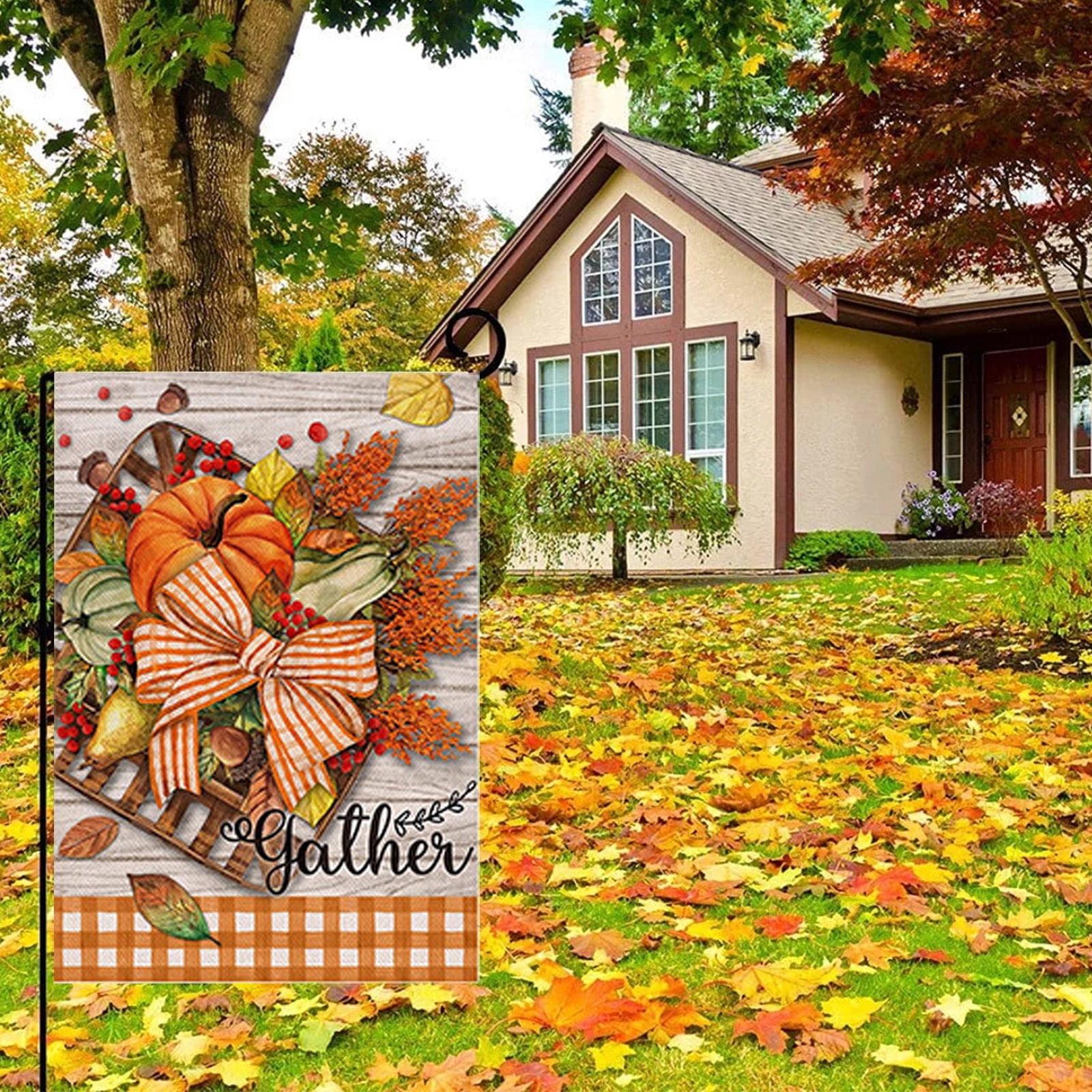 Fall Deals Thanksgiving Fall Autumn Pumpkin Wwarf Fall