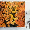 thumbnail image 1 of Ambesonne Fall Shower Curtain, Vivid Autumn Maple Leaves, 69"Wx84"L, Orange Yellow Brown, 1 of 3