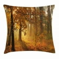 thumbnail image 1 of Fall Decor Throw Pillow Cushion Cover, Misty Autumn Forest with Rising Sun Early Morning in Foggy Woods Scenery, Decorative Square Accent Pillow Case, 20 X 20 Inches, Orange Brown Green, by Ambesonne, 1 of 2