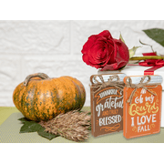Fall Decoration, Set of 2, Brown and Orange Wood Plaques, Greenbrier International Inc