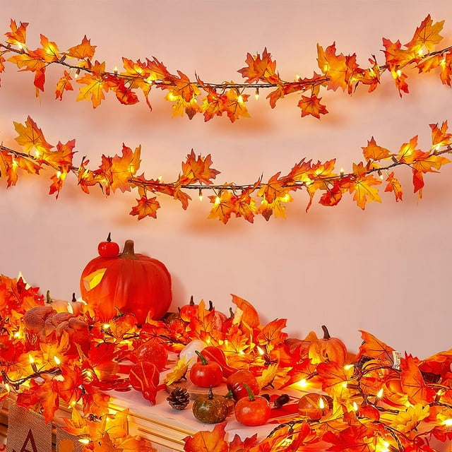 Fall Decorations for Home 19.6FT Plug in Thanksgiving Lights Lighted