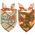 thumbnail image 1 of Fall Dog Bandanas 2 Pack, Puppy Thanksgiving Orange Squirrel Triangle Bibs Handkerchief, Reversible Holiday Dog Bandana for Boy and Girl, Premium Pet Scarf for Small Medium Large Dogs XL, 1 of 5