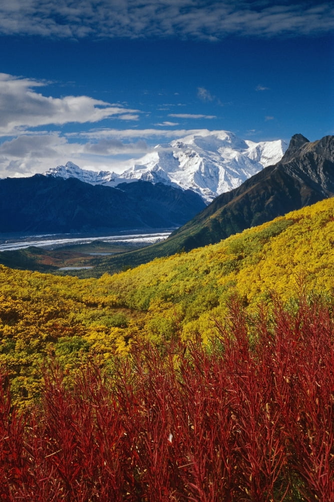 Fall Foliage Overlooking Kennicott Glacier Sc Alaska Fall Mt Blackburn Wrangell-St Elias Np Canvas Art - Jim Barr Design Pics (11 x 17)