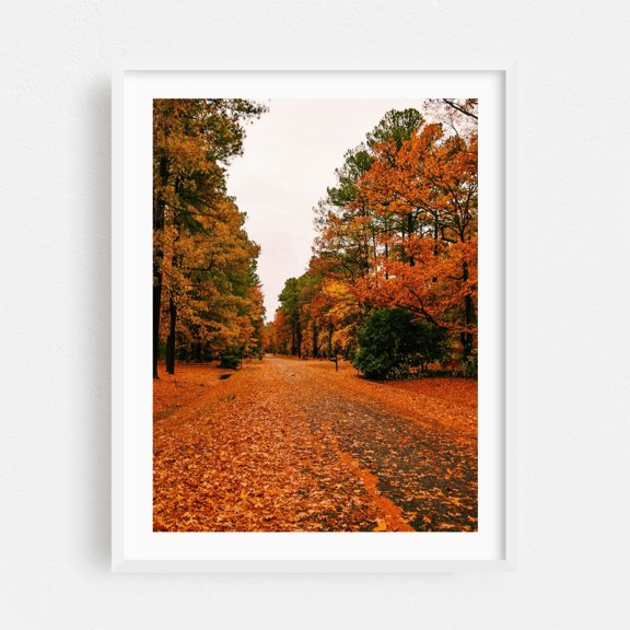 Fall Foliage in Saint Michaels - Saint Michaels Maryland Photography Autumn Forest Nature Scenic Woodland Landscape Woods White Framed Wall Art Print 5 x 7 inches