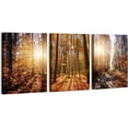 thumbnail image 1 of Fall Forest Canvas Wall Art Sunset Forest Picture Wall Decor for Living Room Bathroom Autumn Landscape Prints Posters Nature Woodland Photos Painting Artwork Office Home Decorations 12x16" 3Pcs, 1 of 5