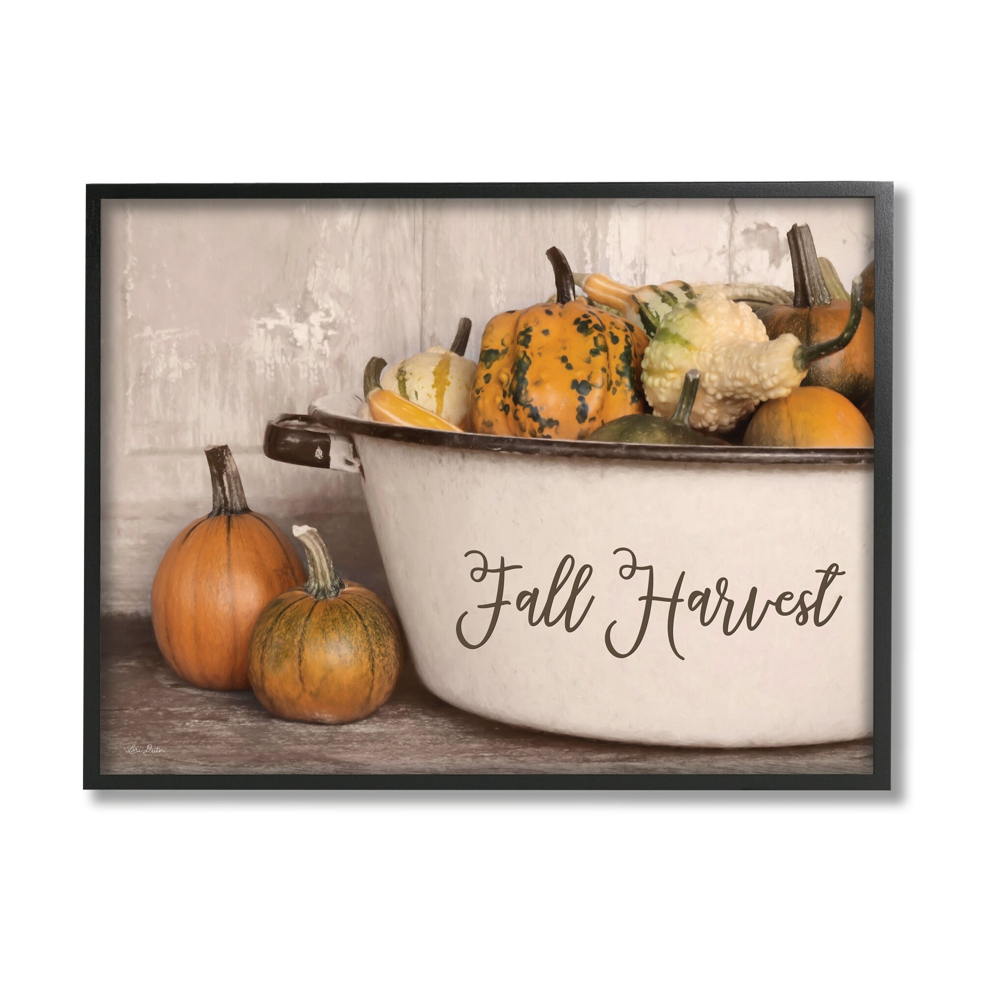 Fall Harvest Bowl Gourds Pumpkins Arrangement Still Life Botanical & Floral Graphic Art Framed Art Print Wall Art