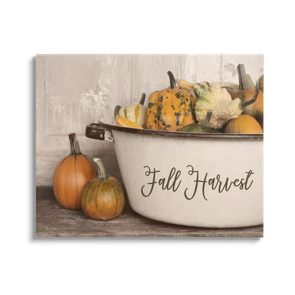 Fall Harvest Bowl Gourds Pumpkins Arrangement Still Life Botanical & Floral Graphic Art Gallery-Wrapped Canvas Print Wall Art