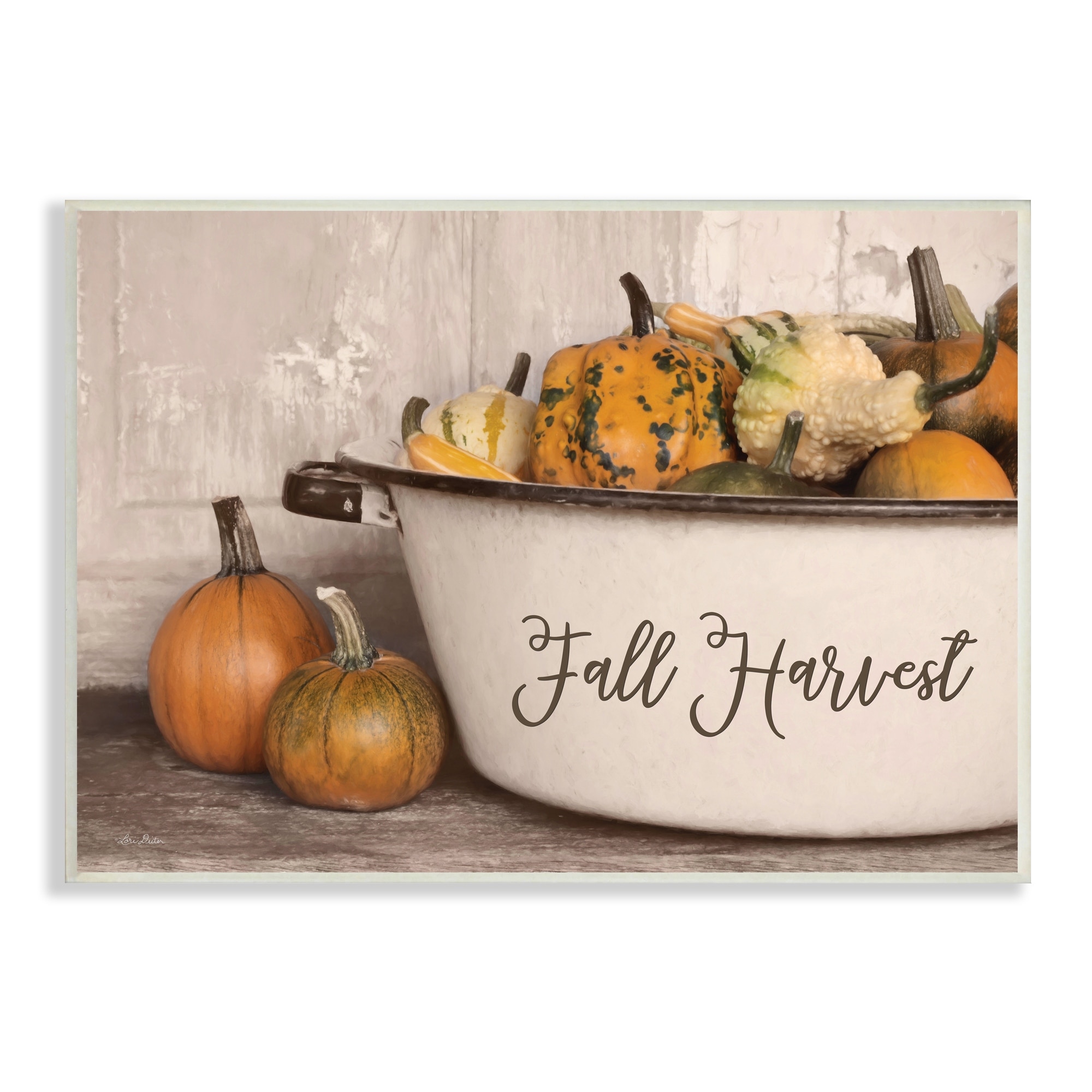 Fall Harvest Bowl Gourds Pumpkins Arrangement Still Life Botanical & Floral Graphic Art Unframed Art Print Wall Art