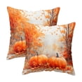 thumbnail image 1 of Fall Harvest Throw Pillow Covers 18x18 Inch Set of 2, Printed Pumpkin Decorative Square Pillowcases, Farmhouse Holiday Cushion Covers for Sofa Living Room Home Fall Halloween Thanksgiving Decor, 1 of 7