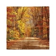 thumbnail image 1 of Fall Head Scarf, Scenic Outdoors Empty Road, Head Wrap, 3 Sizes, by Ambesonne, 1 of 2