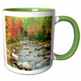 thumbnail image 1 of 3drose, Fall in New Hampshire, 15oz Two-tone Green Mug, 1 of 6