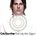 thumbnail image 1 of Fall Into the Open, 1 of 1