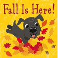 thumbnail image 1 of Pre-Owned Fall Is Here! Paperback, 1 of 1