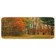 thumbnail image 1 of Fall Kitchen Mat, Cloudy Overcast Day in September Shrubs Pines Sidewalk in the Park Forest, Plush Decorative Kitchen Mat with Non Slip Backing, 47" X 19", Orange Green Brown, by Ambesonne, 1 of 1