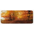 thumbnail image 1 of Fall Kitchen Mat, Footpath in Foggy Woods Peaceful September Serene Idyllic Country Theme, Plush Decorative Kitchen Mat with Non Slip Backing, 47" X 19", Orange Redwood Yellow, by Ambesonne, 1 of 1