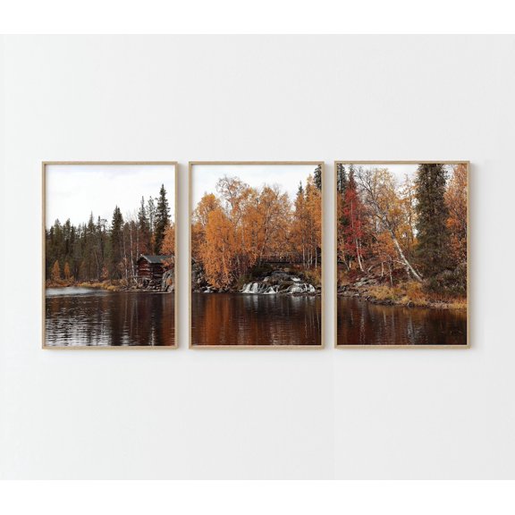 Fall Landscape Autumn Pictures Fall Triptych Dark Autumn Nature Set 3 Unframed Paper Print 16x24