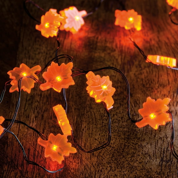 Fall Leaf Wire Light 20 Plastic Autumn Battery Powered 29308