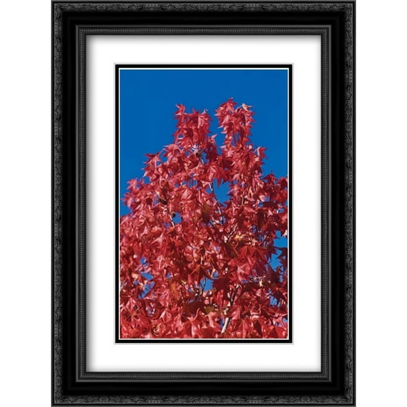 Fall Leaves IV 2x Matted 18x24 Black Ornate Framed Art Print by Peterson, Lee