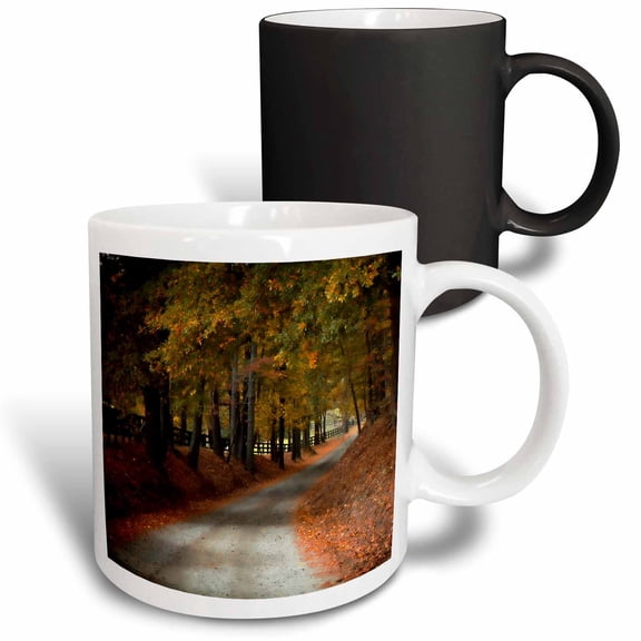 3drose, Fall Leaves on a Country Road in Georgia Ii, 11oz Magic Transforming Mug