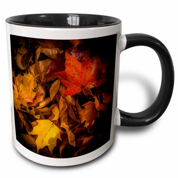 3drose, Fall Leaves on Forest Floor, 11oz Two-tone Black Mug