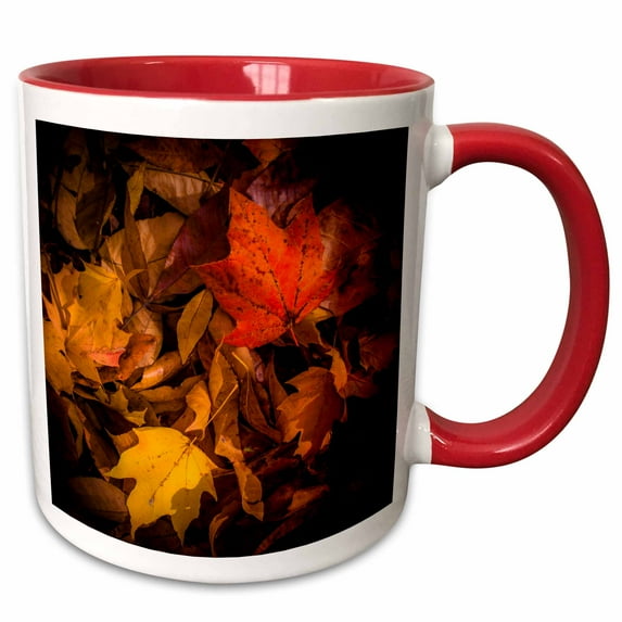 3drose, Fall Leaves on Forest Floor, 15oz Two-tone Red Mug