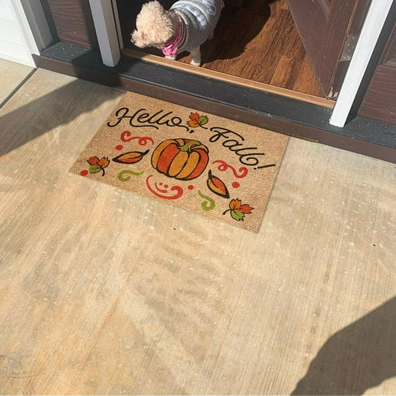 Fall Thanksgiving Non-Slip Welcome Doormat - Pumpkin Leaves Theme Outdoor Rug for Front Door Kitchen Porch Decor(D)