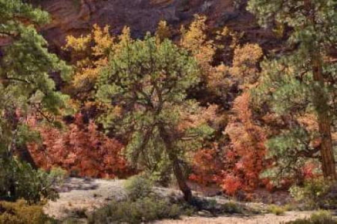 Fall Leaves V Canvas Art - Lee Peterson (12 x 18)