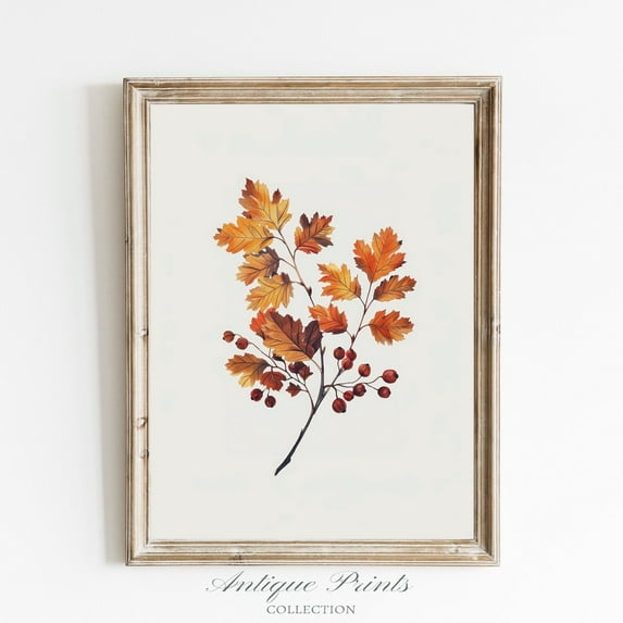 Fall Leaves Vintage Drawing, Minimalist Botanical Wall Art, Autumn Branch Sketch Art, Fall Farmhouse Elegant Wall Decor Poster, Stretched Canvas Size 8x12