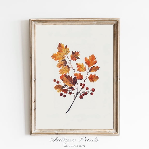 Fall Leaves Vintage Drawing, Minimalist Botanical Wall Art, Autumn Branch Sketch Art, Fall Farmhouse Elegant Wall Decor Poster, Unframed Poster Size 24x36