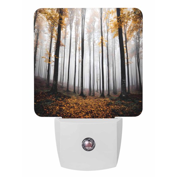 Fall Night Lights Auto Sensor Autumn Maple Forest Plug-in LED Nightlights Dusk to Dawn for Living Room, Bedroom, Hallway, Stairways Thanksgiving Wall Decor, Orange Misty Forest Trees Night Light