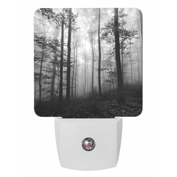Fall Night Lights Auto Sensor Grey Foggy Forest Plug-in LED Nightlights Dusk to Dawn for Living Room, Bedroom, Hallway, Stairways Thanksgiving Wall Decor, Misty Forest Trees Nature Night Light