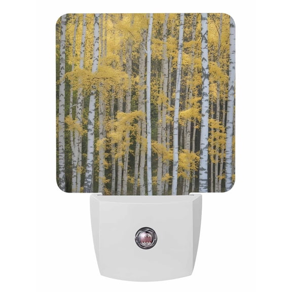 Fall Night Lights Auto Sensor Nature Trees Forest Plug-in LED Nightlights Dusk to Dawn for Living Room, Bedroom, Hallway, Stairways Thanksgiving Wall Decor, Yellow Autumn Maple Leaf Night Light