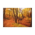 thumbnail image 1 of Fall Orange Tree Forest Nature Wilderness Photography Canvas Wall Art for Home Decor Ready-to-Hang, 1 of 18