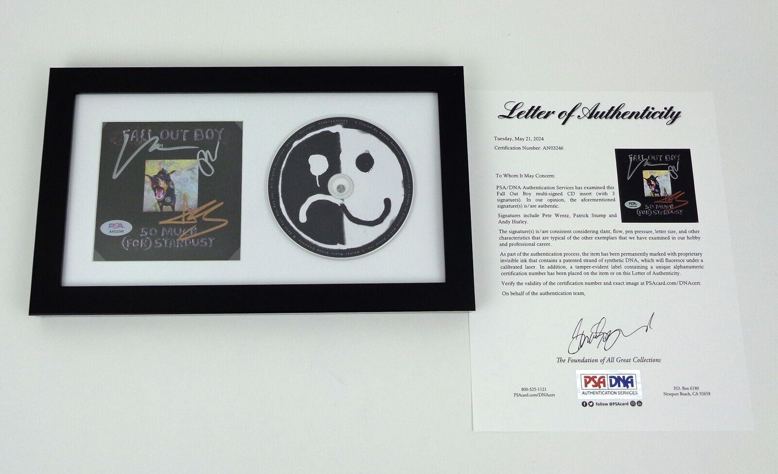 Fall Out Boy FOB Signed Autograph So Much For Stardust CD Framed PSA/DNA COA A