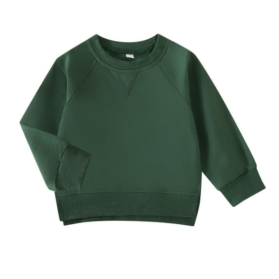 Fall Outfits For Baby Girls Baby Boy Crewneck Sweatshirt Cotton Long Sleeve Solid Color Pullover Top Casual Spring Fall Clothes Baby Boys' Clothing Sets Green 12 Months-18 Months