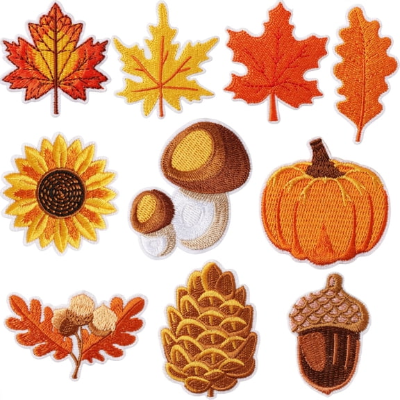 Fall Patches Embroidered Patches Iron on Thanksgiving Pumpkin Maple Leaf for Clothing (10 Pcs)