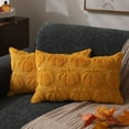 thumbnail image 1 of Fall Pillow Covers 12x20 Set of 2 Fall Decorations Yellow Pumpkin Throw Pillow Cases Soft Plush Faux Fur Wool Couch Cushion Case for Chair Sofa Bedroom Living Room Home Decor PTK012F12, 1 of 10