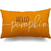 Fall Pillow Covers 12x20 inch, Linen Autumn Hello Pumpkin Throw Pillow Covers for Sofa Bedroom Outdoor Farmhosue Cushion Home Decoration