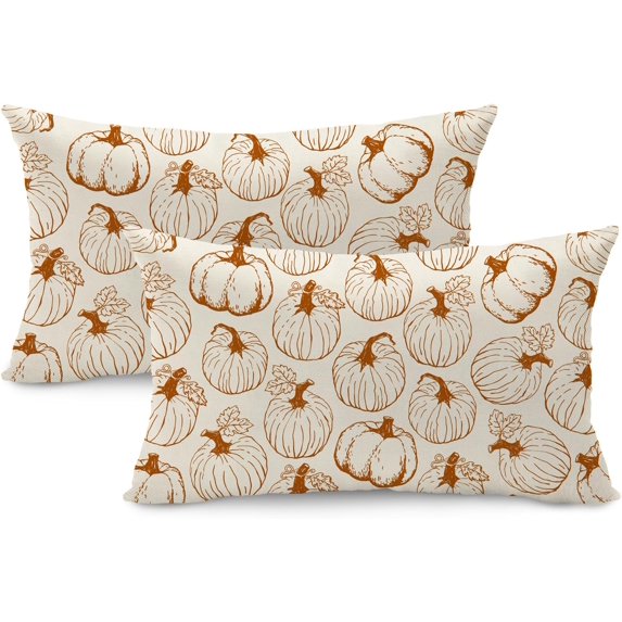 Fall Pillow Covers 12x20 inch Set of 2 Fall Decoration Pumpkin Decor Autumn Outdoor Pillow Cover Thanksgiving Decoration for Home Couch 117B