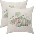 thumbnail image 1 of Fall Pillow Covers 18x18 Set of 2 Autumn Gray Pumpkin Maple Leaf Decorative Throw Pillow Outdoor Linen Square Farmhouse Thanksgiving Harvest Cushion Cover Decor for Home Couch Sofa, 1 of 6