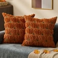 thumbnail image 1 of Fall Pillow Covers 18x18 Set of 2 Fall Decorations Rust Green Yellow Pumpkin Throw Pillow Cases Soft Plush Faux Fur Wool Couch Cushion Case for Chair Sofa Bedroom Living Room Home Decor PTK02P18, 1 of 10